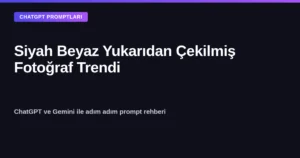 Siyah beyaz yukarıdan çekilmiş fotoğraf trendi kapak görseli - ChatGPT ve Gemini prompt rehberi